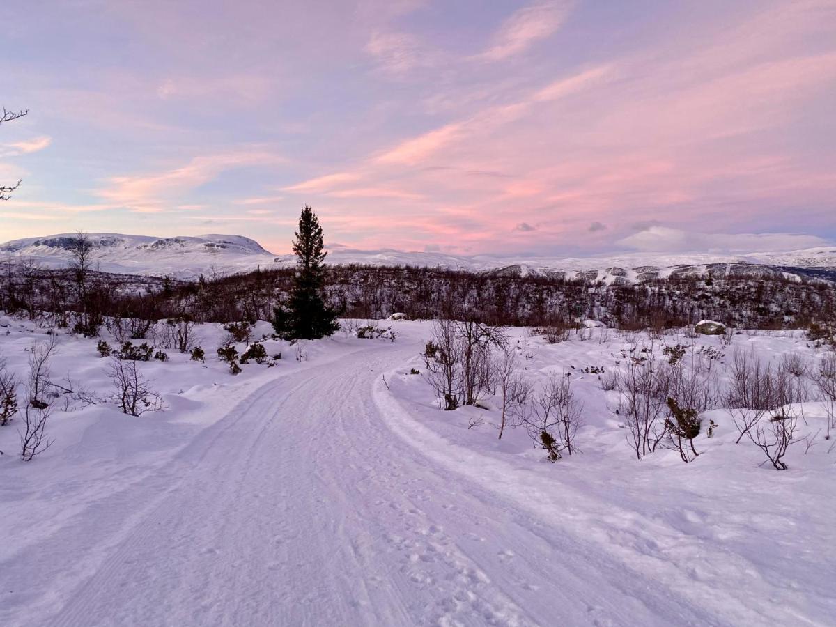 Hakkesetstolen Fjellstugu Hotel Geilo Luaran gambar