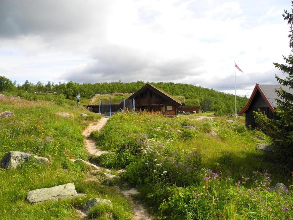Hakkesetstolen Fjellstugu Hotel Geilo Luaran gambar