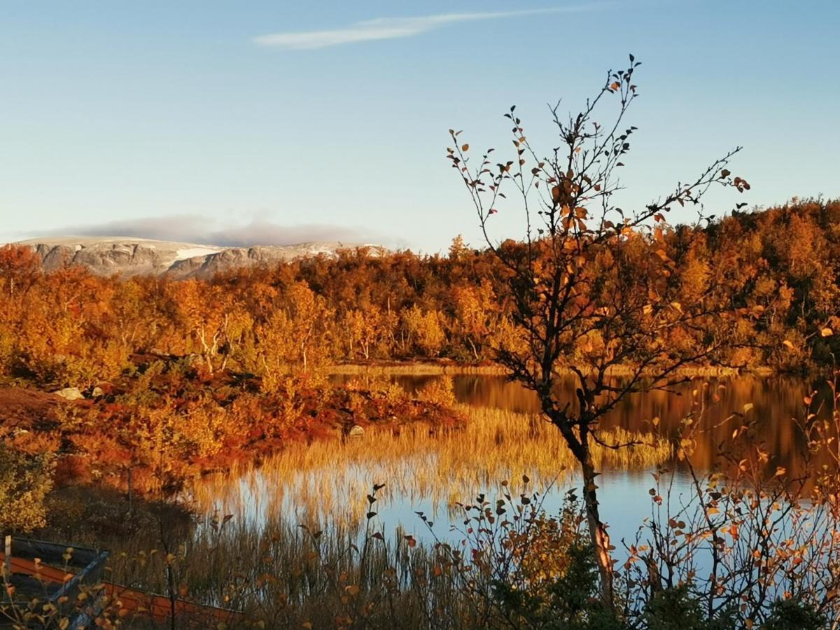 Hakkesetstolen Fjellstugu Hotel Geilo Luaran gambar